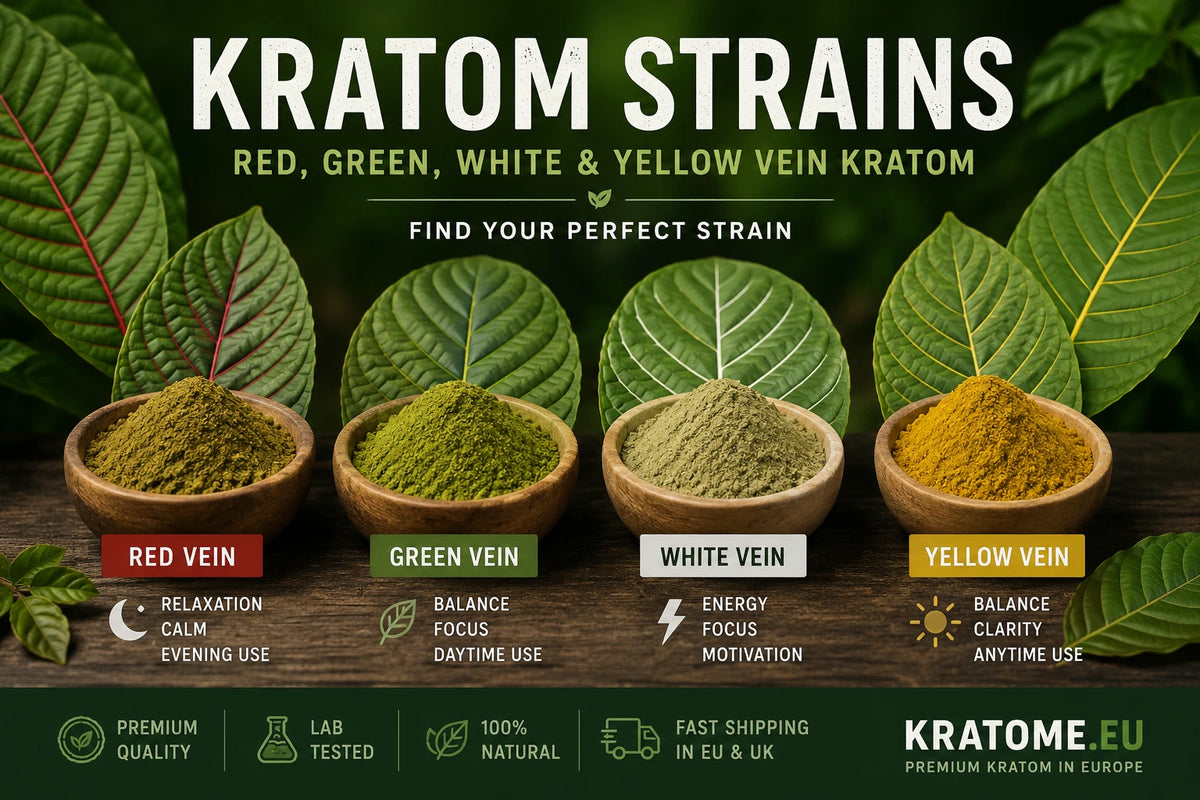 Kratom Strains Explained: Red, Green, White & Yellow