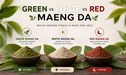 Green vs White vs Red Maeng Da: Best Kratom Strain for Energy, Focus & Relaxation